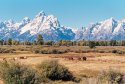 Grand Tetons