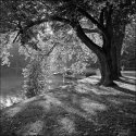 contre-jour 1