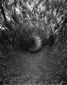 AutumnTwirl251017--