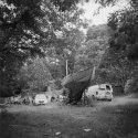In Situ since 1971