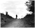 Man and Dog (silhouette XP2)
