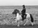 170029_Iceland_2017_Horse_and_Rider_Arbaejarvegur_105_500_second_Cropped_Web_003