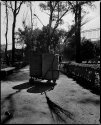 Park Sweep, Mexico City
