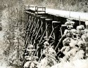 Trestle Lithed