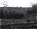 Dry Plate - Backyard