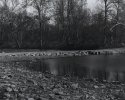 Dry Plate - Slow Down