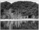 Neil's-Photography004