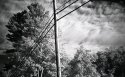 Pole