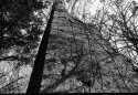 1701_1003