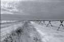 Winter Day in Montana