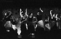flamenco