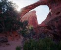 Afternoon_arch