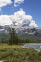 Verdant Creek Forest Fire
