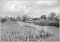 Frisian landscape