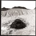 Dinosaur Provincial Park, AB