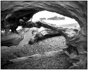 Rialto Beach, Washington