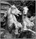 Fountain, Paris