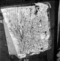 Rolleiflex Automat Test #1 - Mashed mirror on the sidewalk