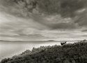 untitled 2