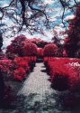 IR Path