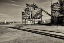 Arlington Cattle Company