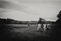 Driftless Wisconsin