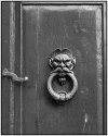 Door Knocker