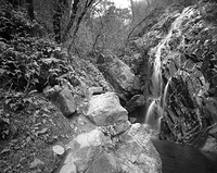 Black Hole of Calcutta Falls #1