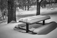 Confederation Park, Calgary