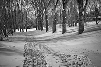 Confederation Park, Calgary
