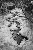 Confederation Park, Calgary