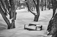 Confederation Park, Calgary