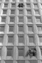 Window cleaners