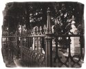 Coopers Fence