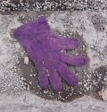 Road Kill
