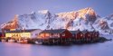 Lofoten Gold