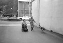 Java out walkin' the guys