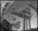 Solar Lights, Columbia Heights