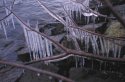 Icicles