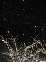 April Snow 01