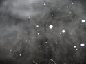 April Snow 03