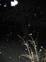 April Snow 04