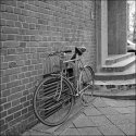 MSA March/April 2018 - Bicycle from the bulky trash