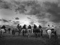 Alberta Rodeo