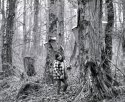 Checking Sap