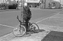 Schwinn