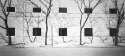 Pinhole Sunday image 6