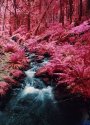 Stream-IR