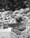 Sdgarden3