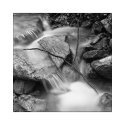 Stream lands
